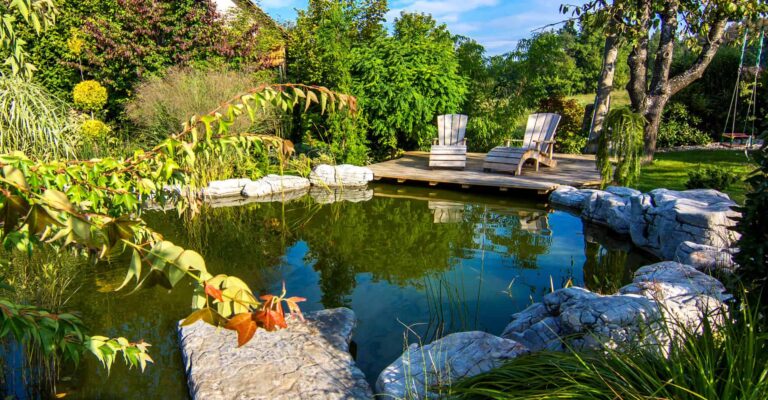 Lire la suite à propos de l’article Incorporer un bassin dans votre jardin
